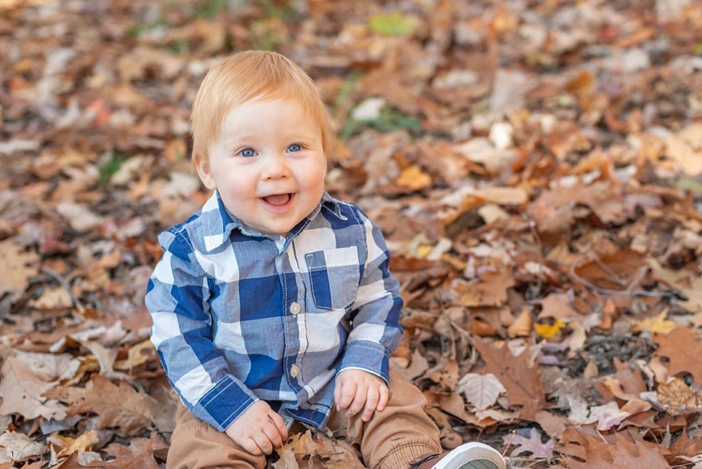 Playing in the leaves | North Canton Ohio