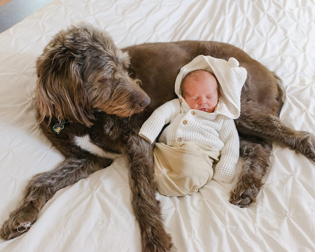 Puppy Brother and Newborn