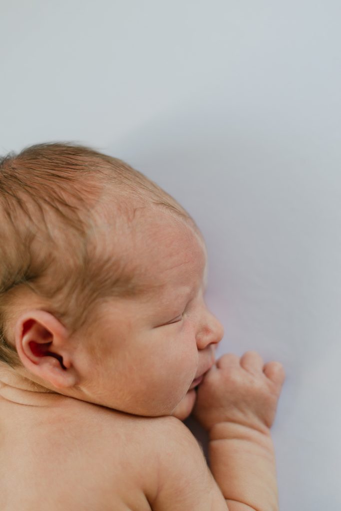 Jacks Lifestyle Newborn Session