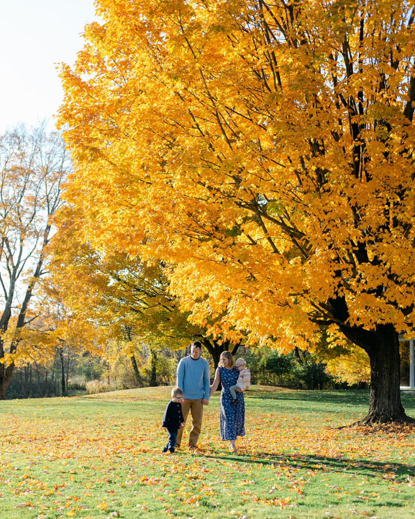 Hartville, Ohio family photo session