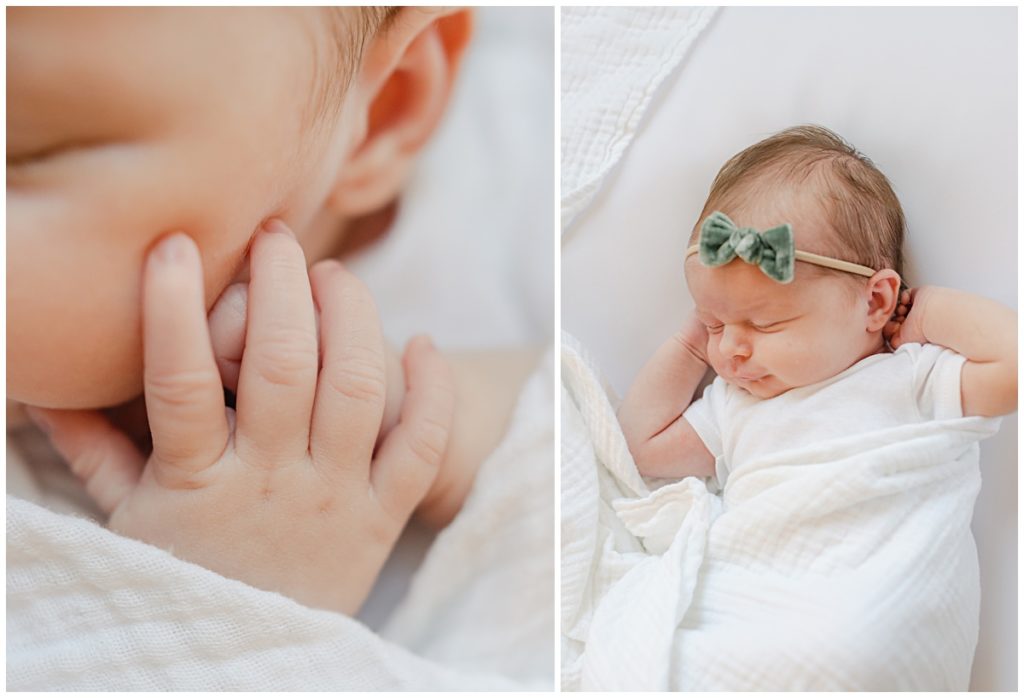 Canton Ohio Newborn Portraits